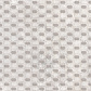 Вест Декор бежевый 25х50_2